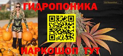 индика Мариинск
