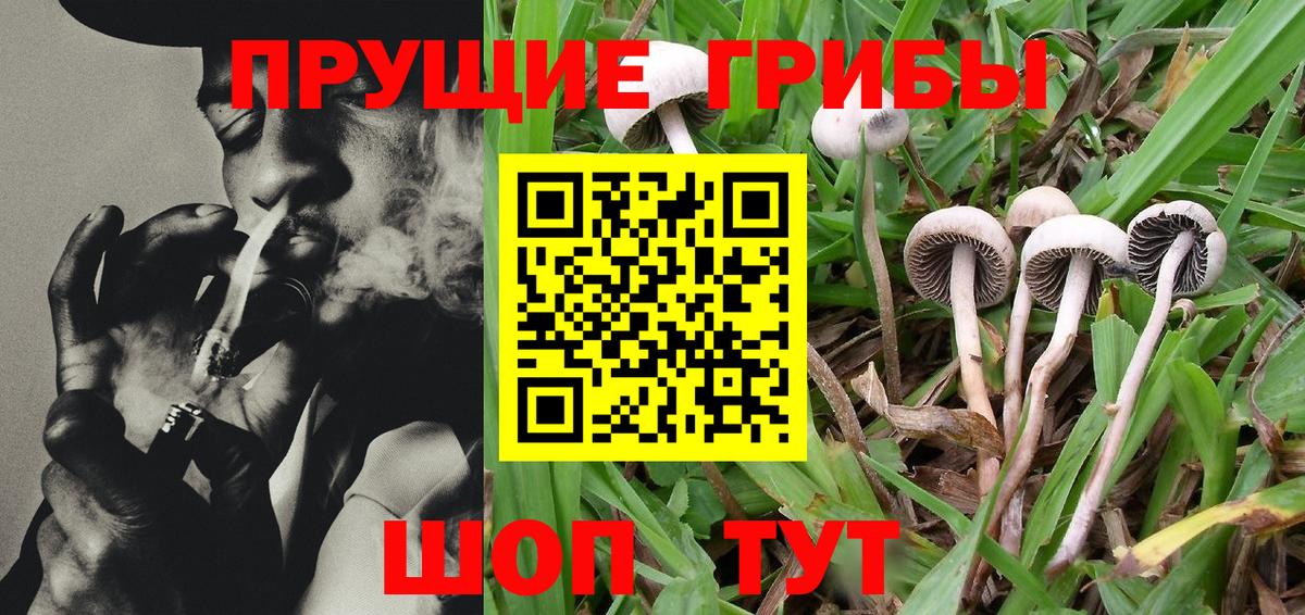 Уварово  Псилоцибиновые грибы мухоморы  Псилоцибиновые грибы GOLDEN TEACHER  Вход с VPN 